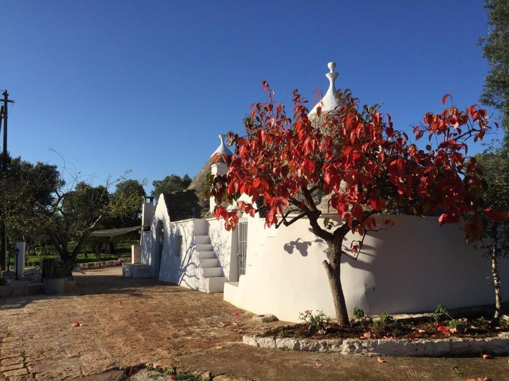 סן מיקלה סלנטינו Chateaux Des Trulli מראה חיצוני תמונה