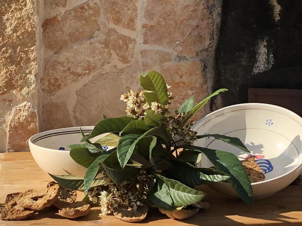 סן מיקלה סלנטינו Chateaux Des Trulli מראה חיצוני תמונה